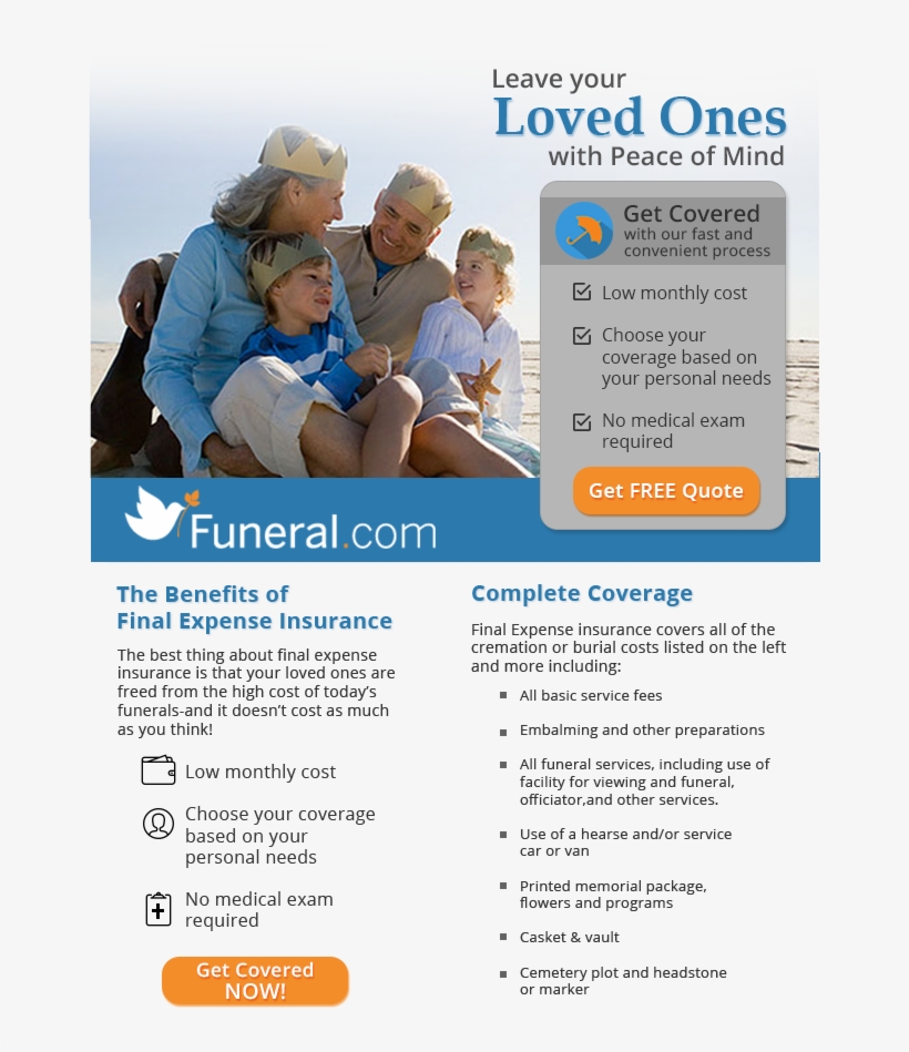 Leave A Comment Cancel Reply - Brochure, transparent png download