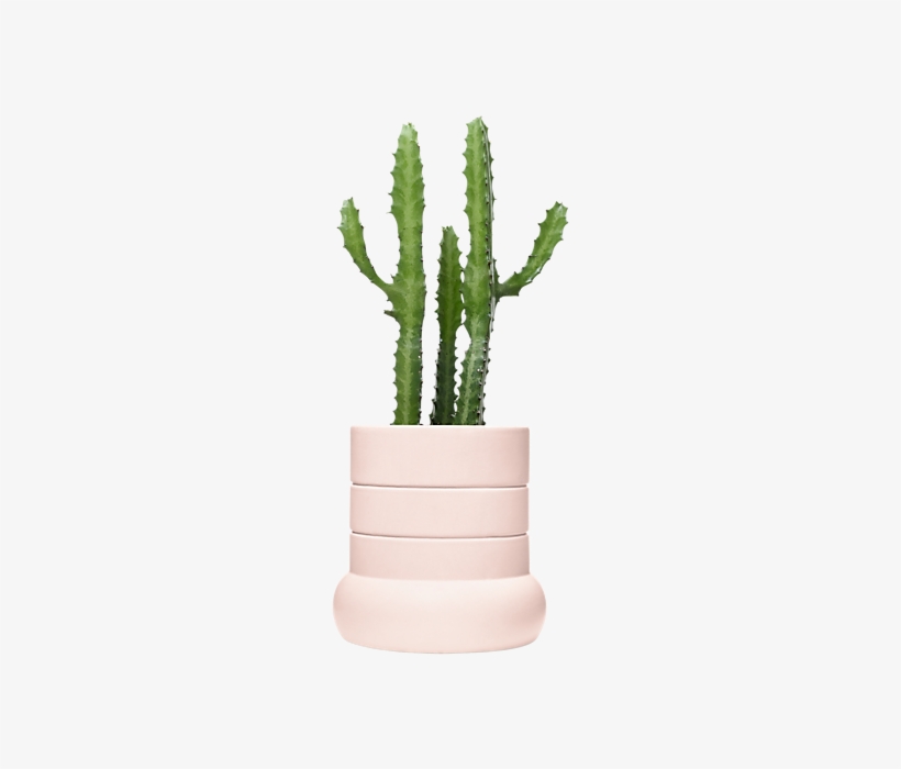Flowerpot, transparent png download