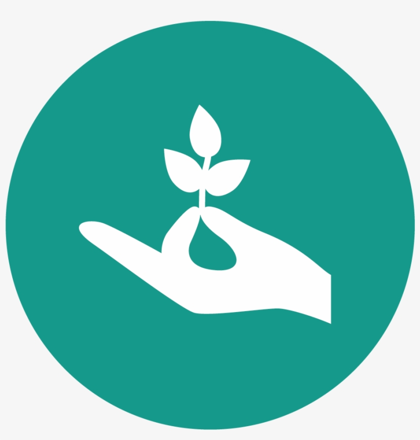 My Image - Location Blis, transparent png download