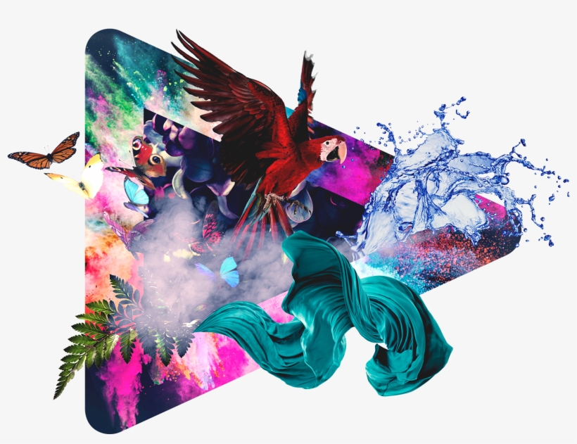 Vidres - - Reflected In The Rain, transparent png download