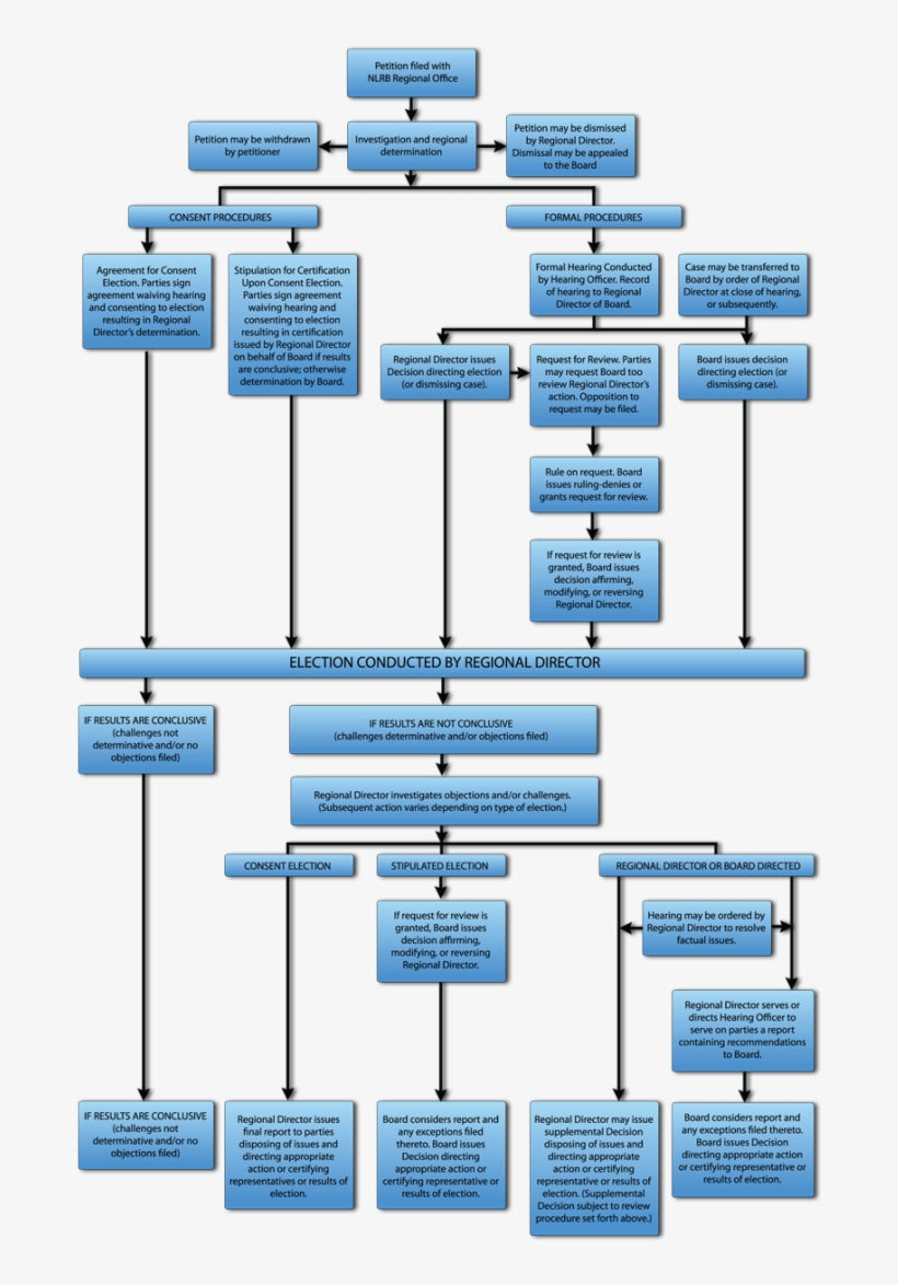 Process-2 - Election Process In Usa, transparent png download
