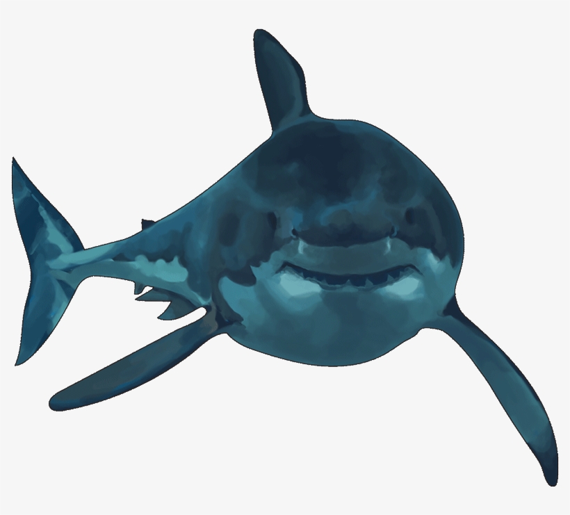 We Liked This Part Because The Shark Saved The Fish - Great White Shark, transparent png download