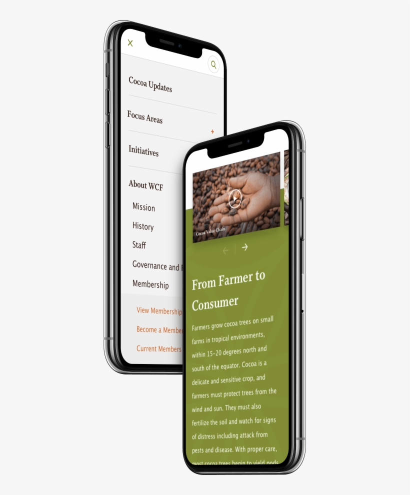 World Cocoa Foundation Website Displayed On Mobile - World Cocoa Foundation, transparent png download