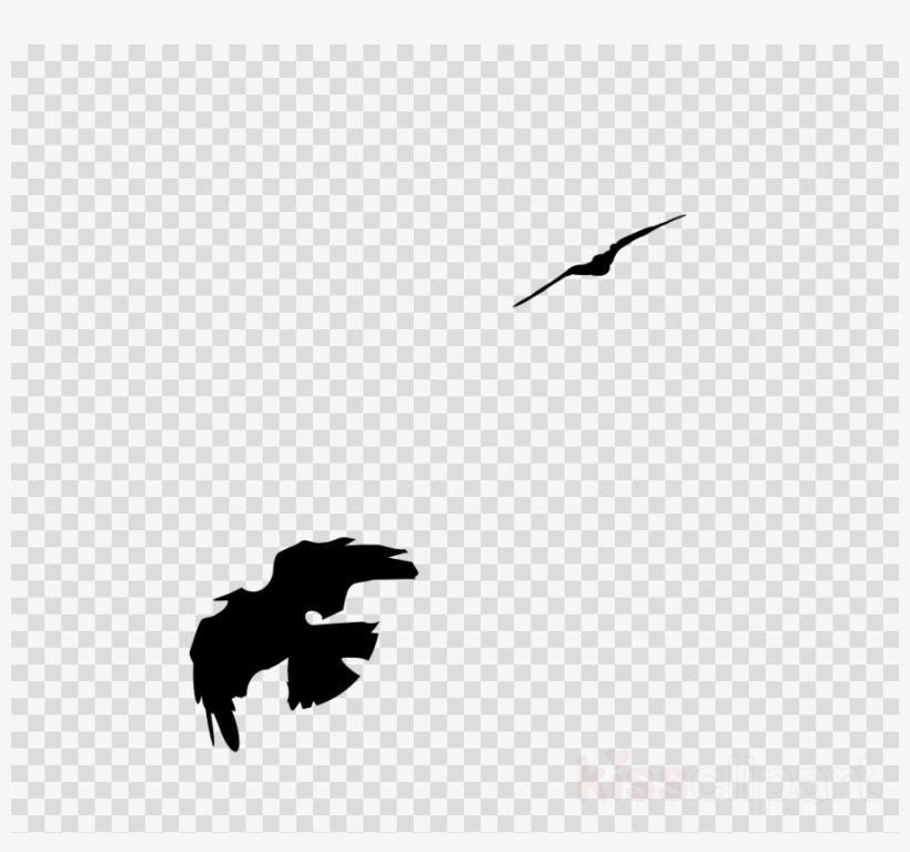 Common Raven Clipart American Crow Bird Rook - Transparent Background Sports Png, transparent png download