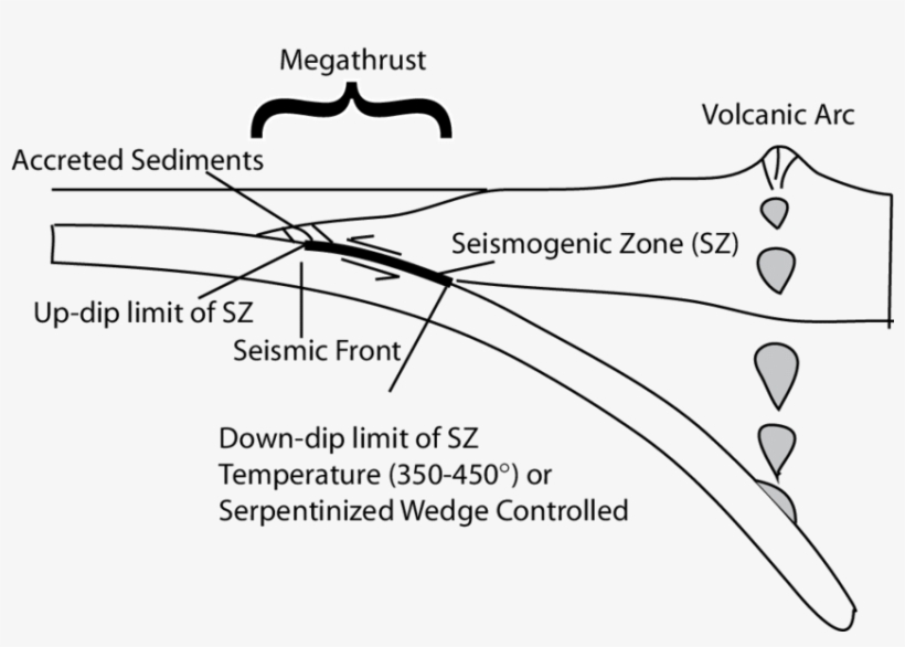 The Thick Black Line Highlights The Seismogenic Range - Megathrust Earthquake, transparent png download