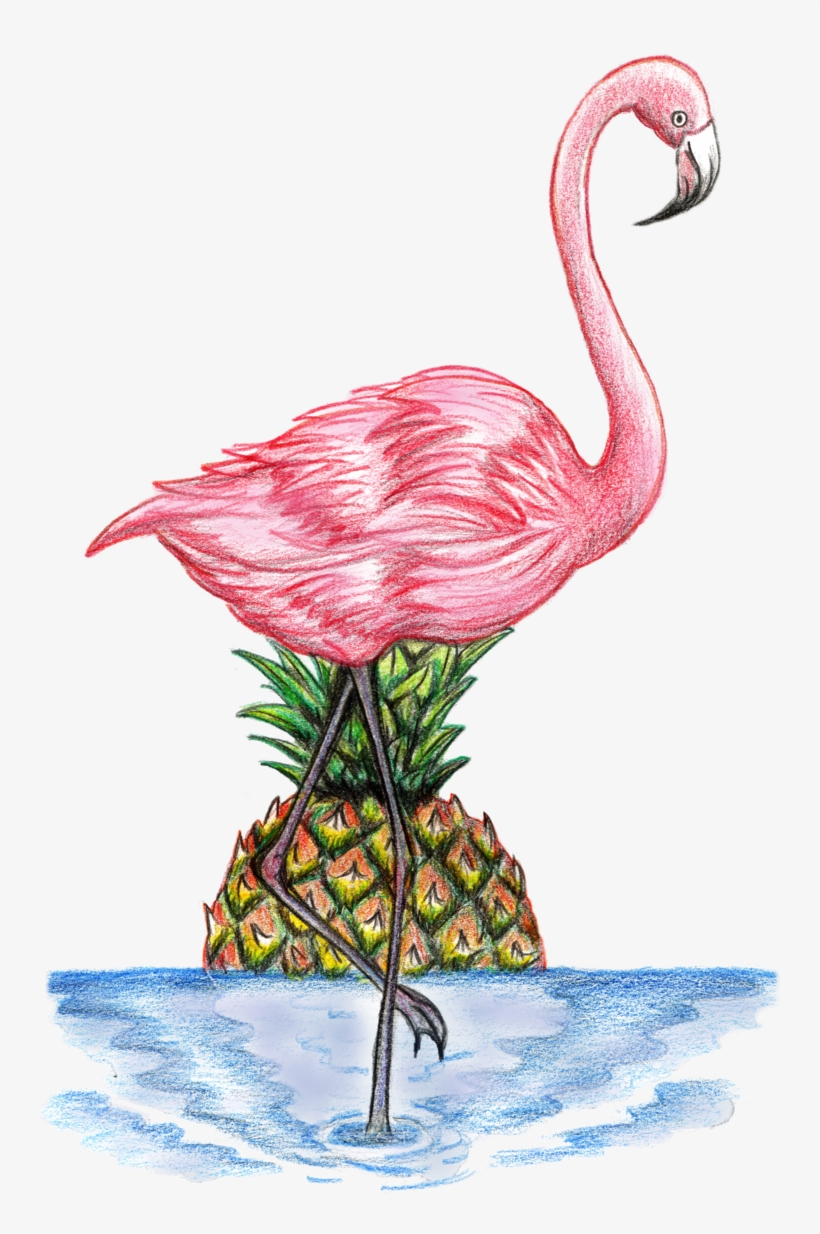 Drawing ©2017 By Hayley Nunn - Flamingo Dessin, transparent png download