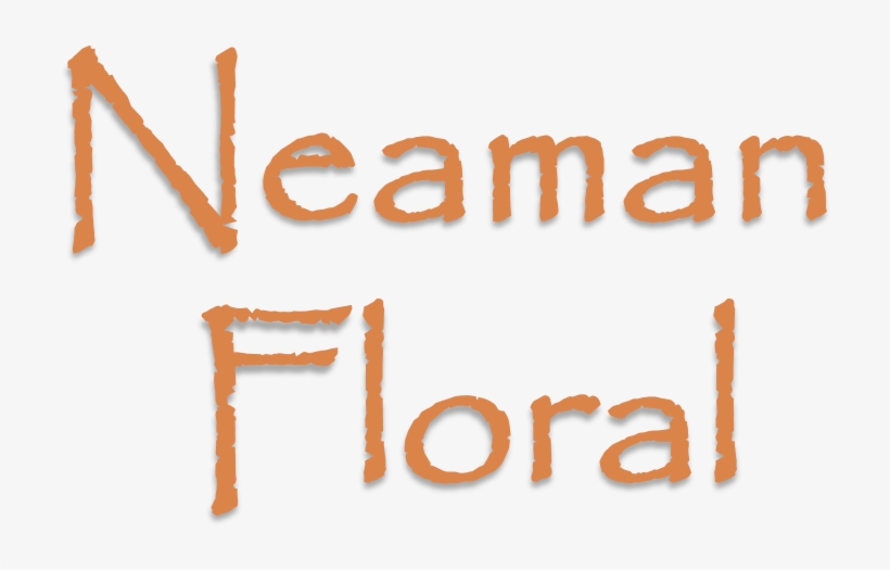 Lake Village Flowers, transparent png download