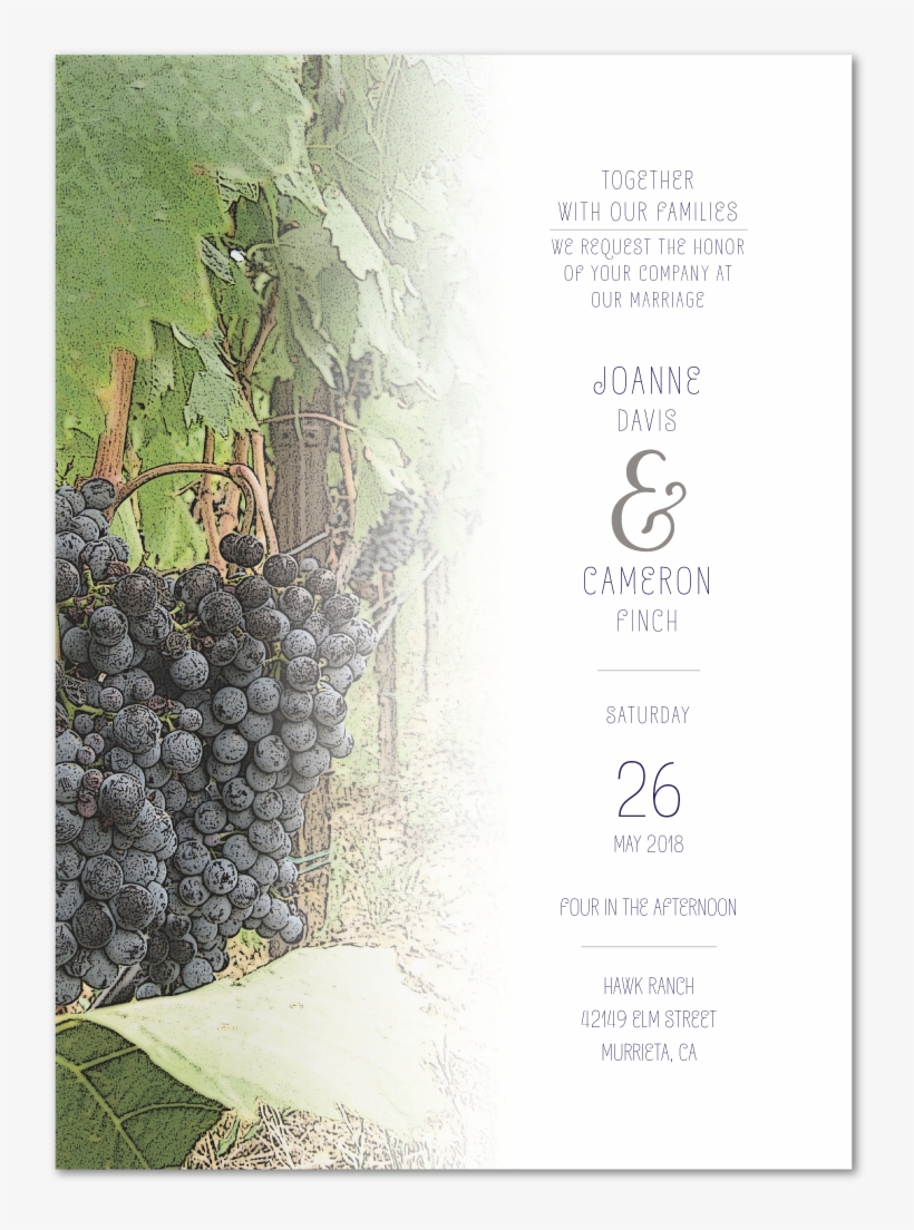 Tuscan Breeze Invitation Invitation Back - Grape, transparent png download
