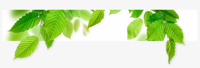 Image Description - Garden Journal Sunny Days For Playing, transparent png download