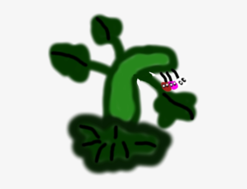 Bleeding Hearts - Illustration, transparent png download