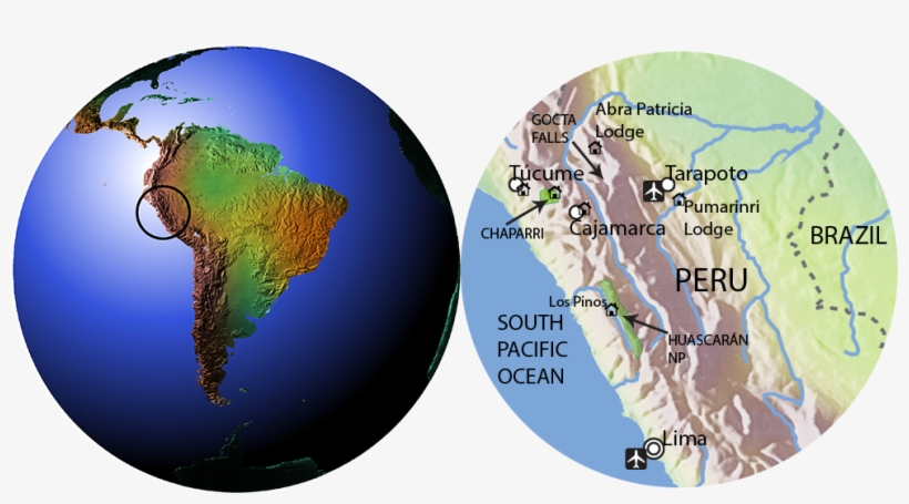 Click On Map To Enlarge - Valdivian Rainforest On A Map, transparent png download