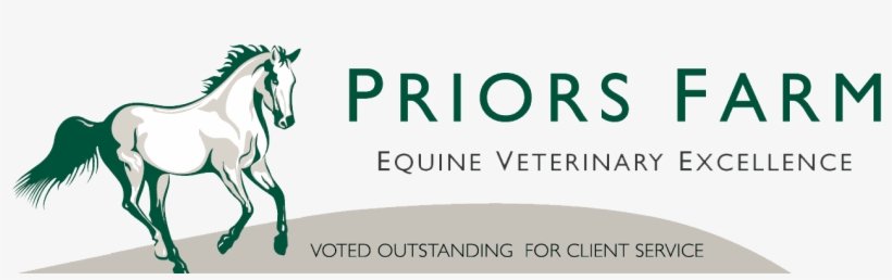 Pfevs - Priors Farm Equine Surgery, transparent png download