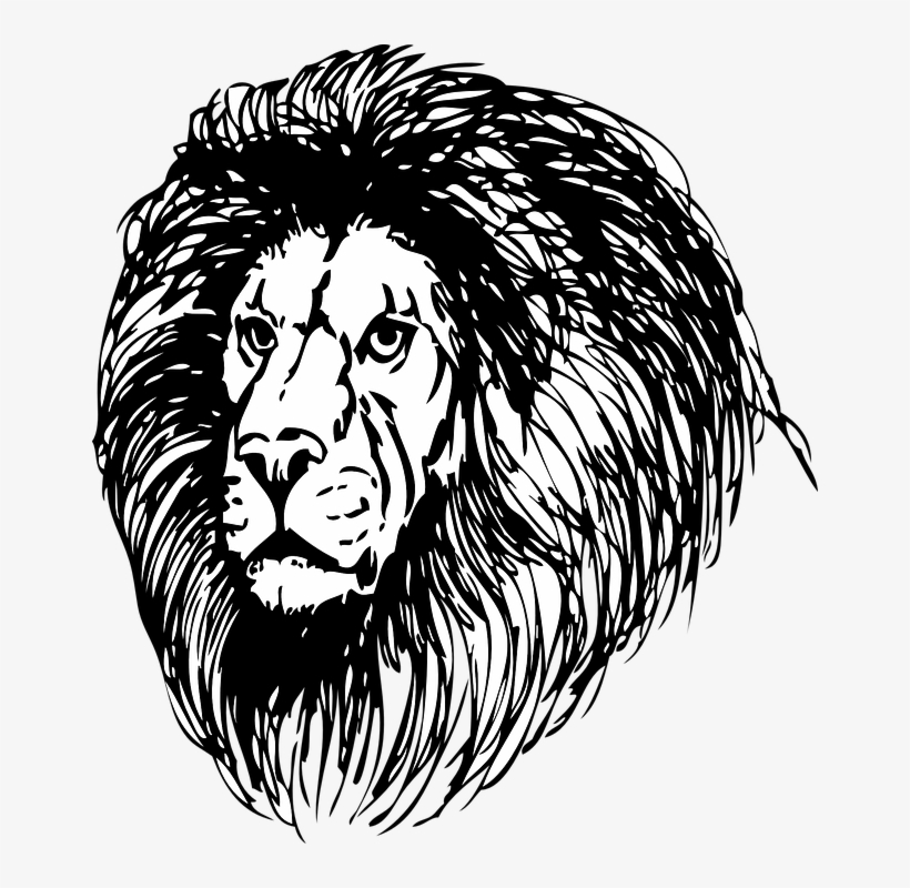 Lions Face Black And White