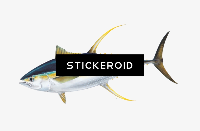 Ahi Tuna Pic Animals Fish - Atlantic Blue Marlin, transparent png download