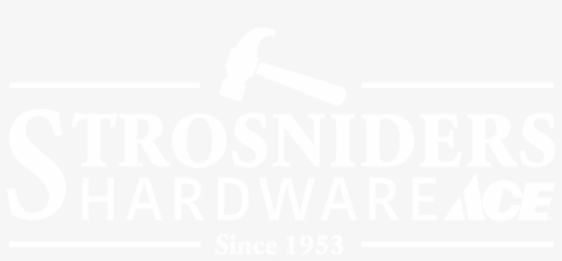 Bernard Werber, transparent png download