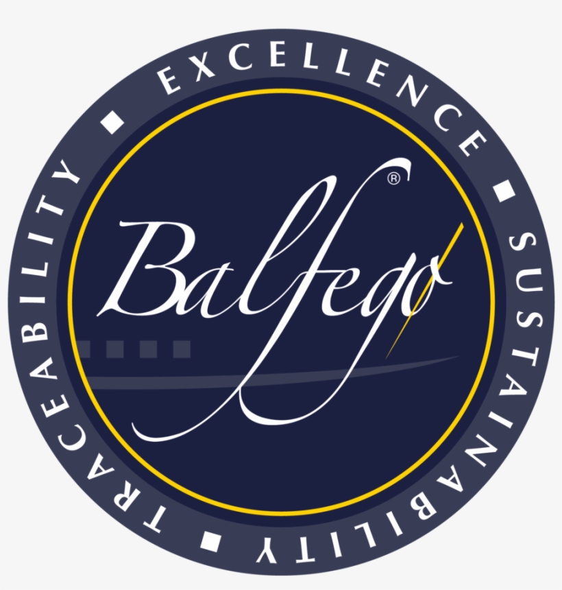 Balfego - Voted Bitches, transparent png download