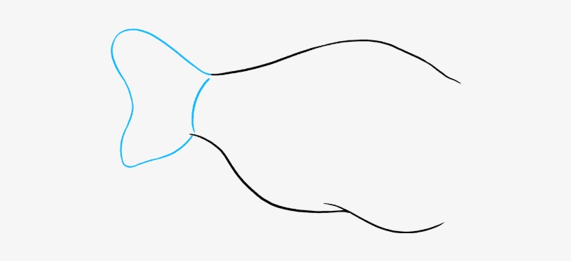 How To Draw Angler Fish - Flounder, transparent png download