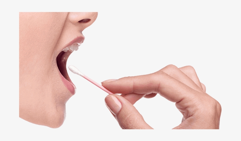 Dna - Courtesy - Swab Dna, transparent png download