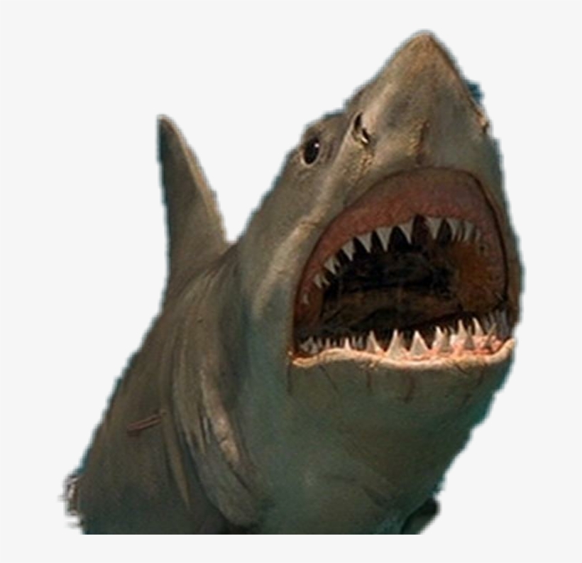 Rubber Sharks And Wooden Acting, transparent png download