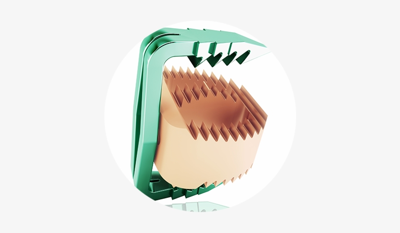 C Jaws Visu02 - Cervical Vertebrae, transparent png download