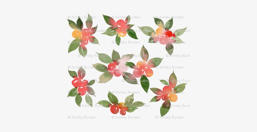 Watercolor Holly Berry - Silver Buffaloberry, transparent png download