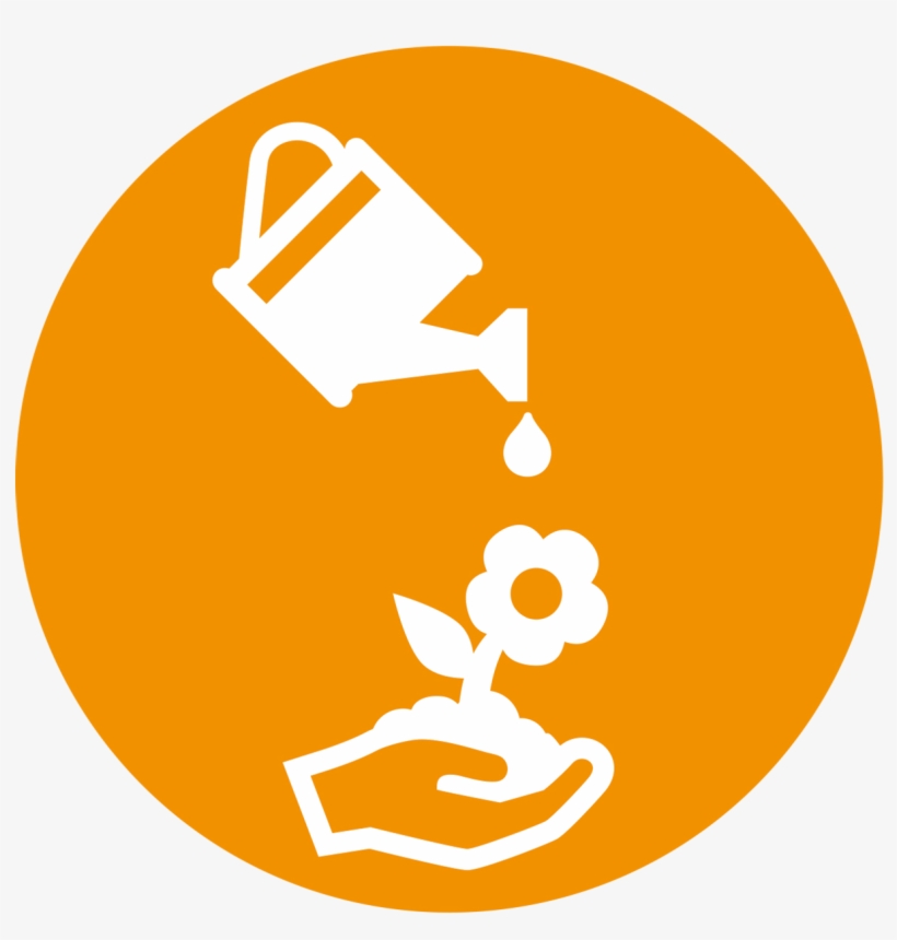 News From Knowsley Cvs - Portable Network Graphics, transparent png download