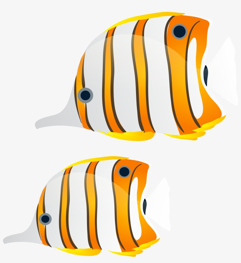 Fishes Png, transparent png download