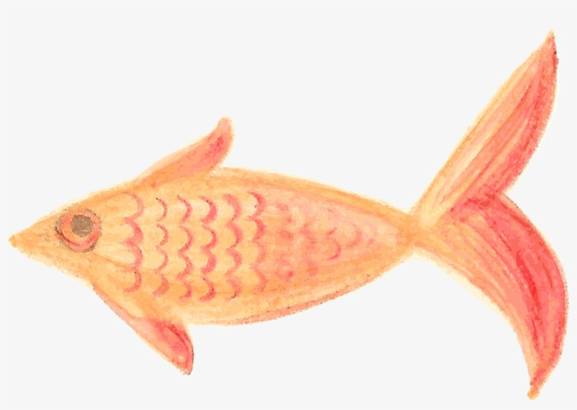 This Free Icons Png Design Of Painted Fish Orange Patterned, transparent png download