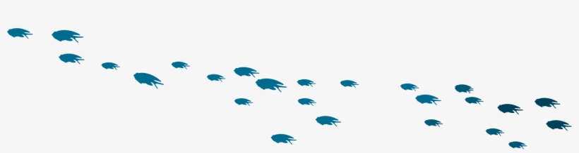 90 212 875 76 - Silhouette, transparent png download