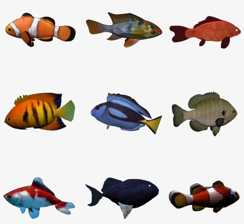 Nine Exemplars From The Fish Category - Exemplar Theory, transparent png download