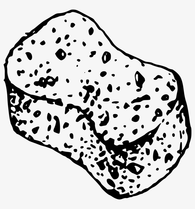 At Getdrawings Com Free For Personal Use - Drawing Of A Sponge, transparent png download