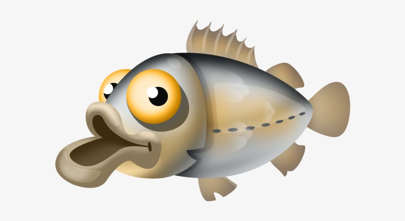 Quillback, transparent png download