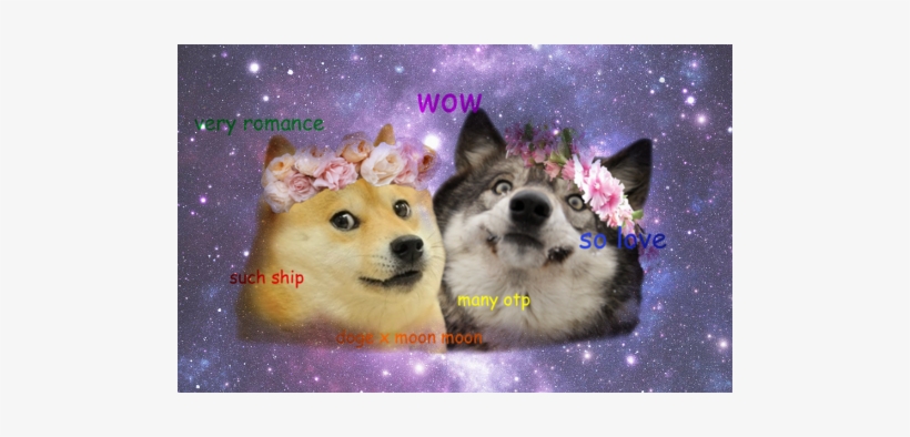 Tumblr Mwuflo6ico1t3gctto1 500 - Moon Moon X Doge, transparent png download