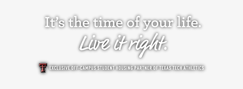 It's The Time Of Your Life - Calligraphy, transparent png download