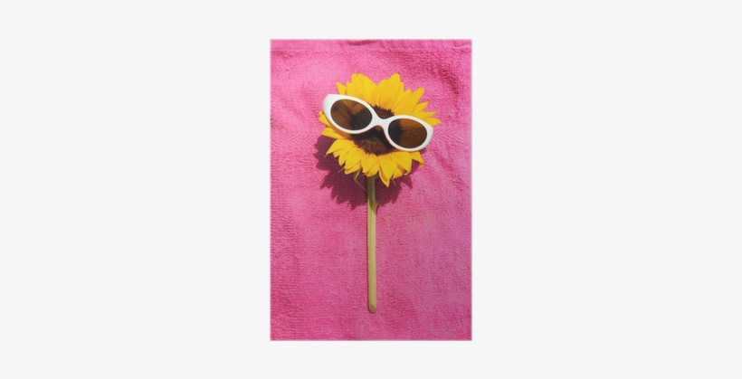 Funny Sunflower With Sunglasses On A Towel Relaxing - Wallpaper, transparent png download