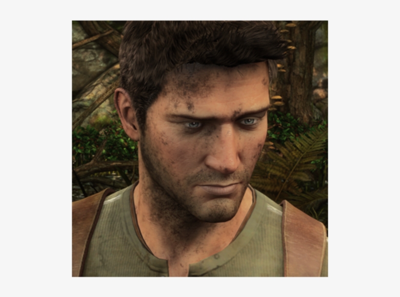 1-forest Sully Drake - Sully Drake, transparent png download