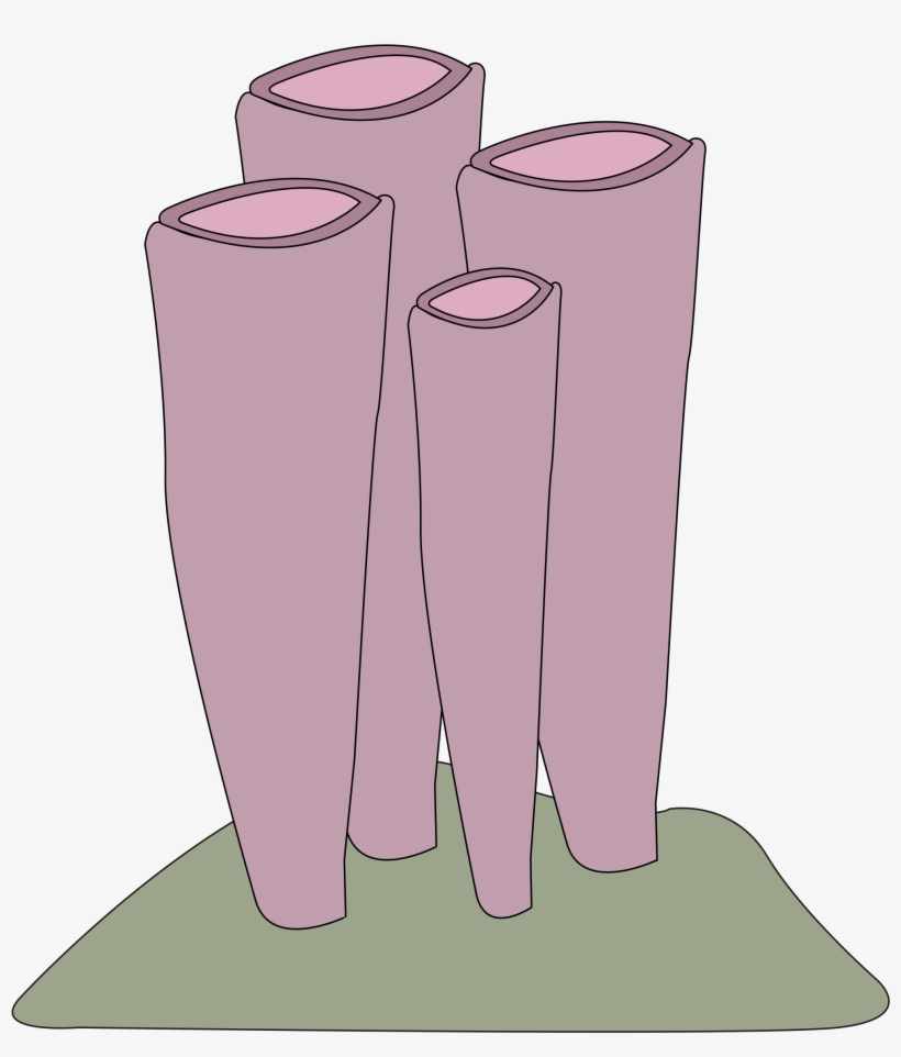 This Free Icons Png Design Of Sponge Shrimp, transparent png download