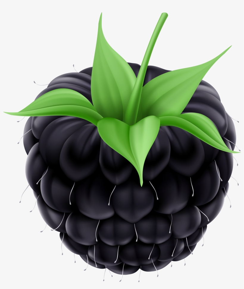 Blackberry Png, transparent png download