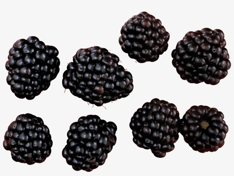 Free Png Blackberry Png Images Transparent - Blackberry Png, transparent png download
