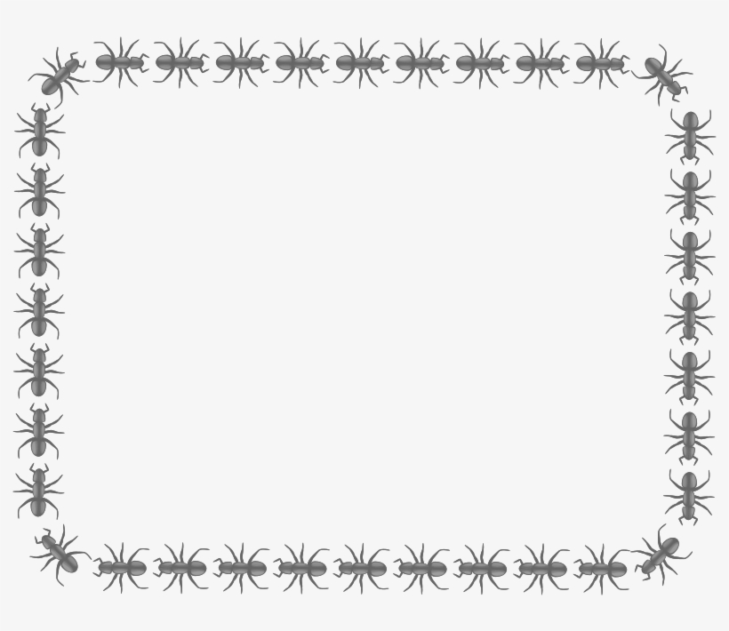 Ant Rectangle Medium Image Png - Ant Borders Clip Art, transparent png download