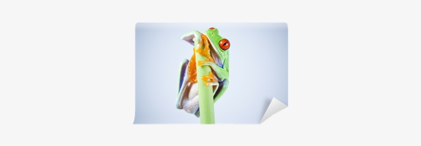 Skin, transparent png download