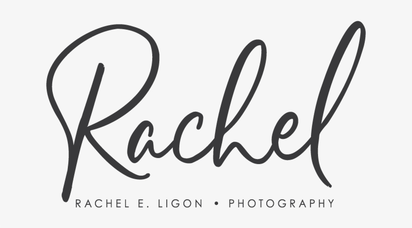 Key West Wedding Photographer - Business Cost Consultants, transparent png download