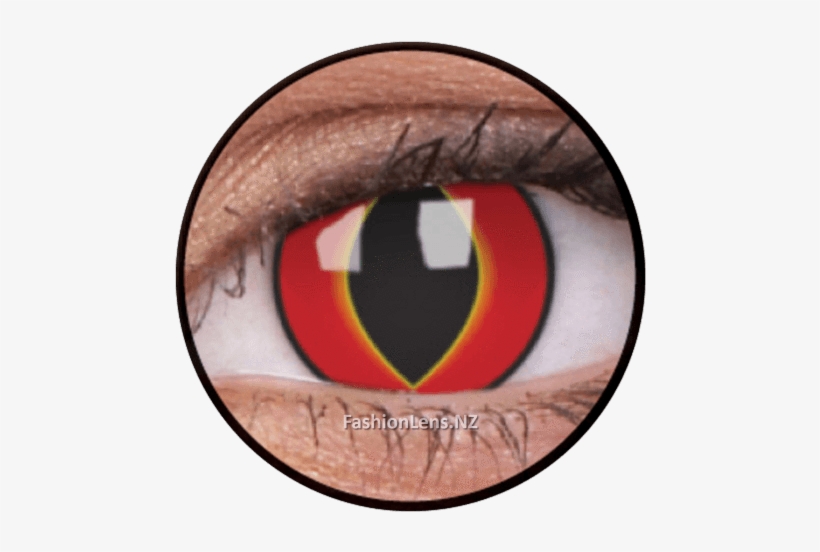Crazy Mad Frog Colourvue Contact Lenses - Contact Lenses Suitable For Big Eyes, transparent png download