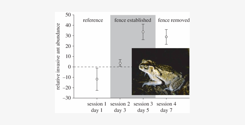 Effects Of Native Toad Exclosure On Invasive Yellow - Yellow Crazy Ant, transparent png download