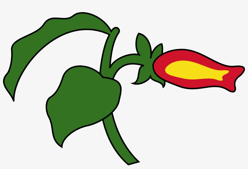 Graphic Library Download Icons Png Free And Downloads - Pitcairn Islands, transparent png download