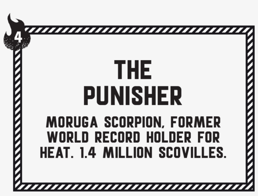 The Punisher - Circle, transparent png download