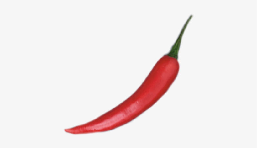 Bird's Eye Chili, transparent png download