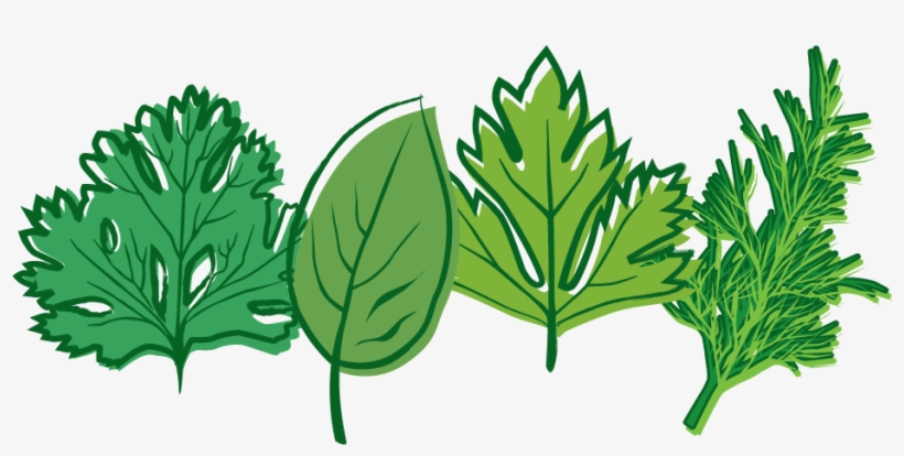 Tajin Jalapeno Pepper - Home Farmer Herb Seed Kit, transparent png download
