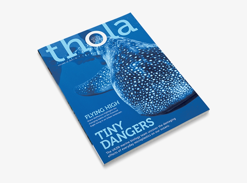 Thola Magazine Spread - Magazine, transparent png download