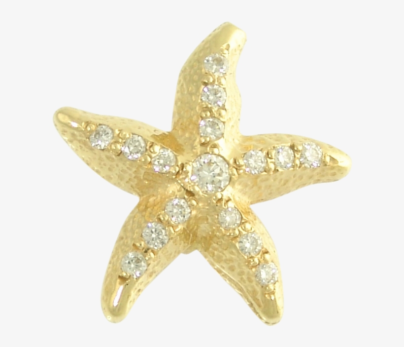 Sea Star Png High-quality Image - Jewellery Star Png, transparent png download
